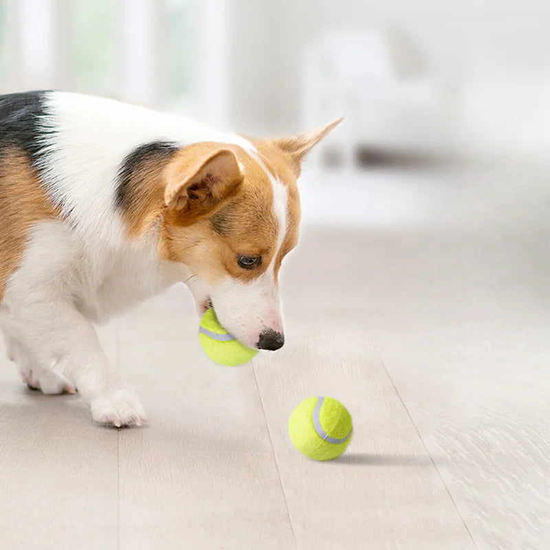 GUGA テニスランチャー