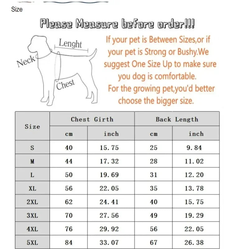 NORTE FACE ジャケット