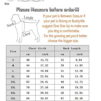 NORTE FACE ジャケット