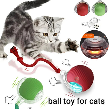 New Cat Interactive Ball Toy,Automatic Rolling Cat Ball Rechargeable,Smart Kitten Interactive Toy,Intelligent Balls Toy for Cat