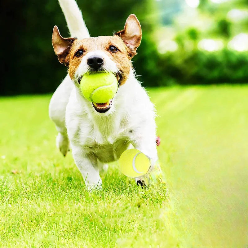 GUGA テニスランチャー